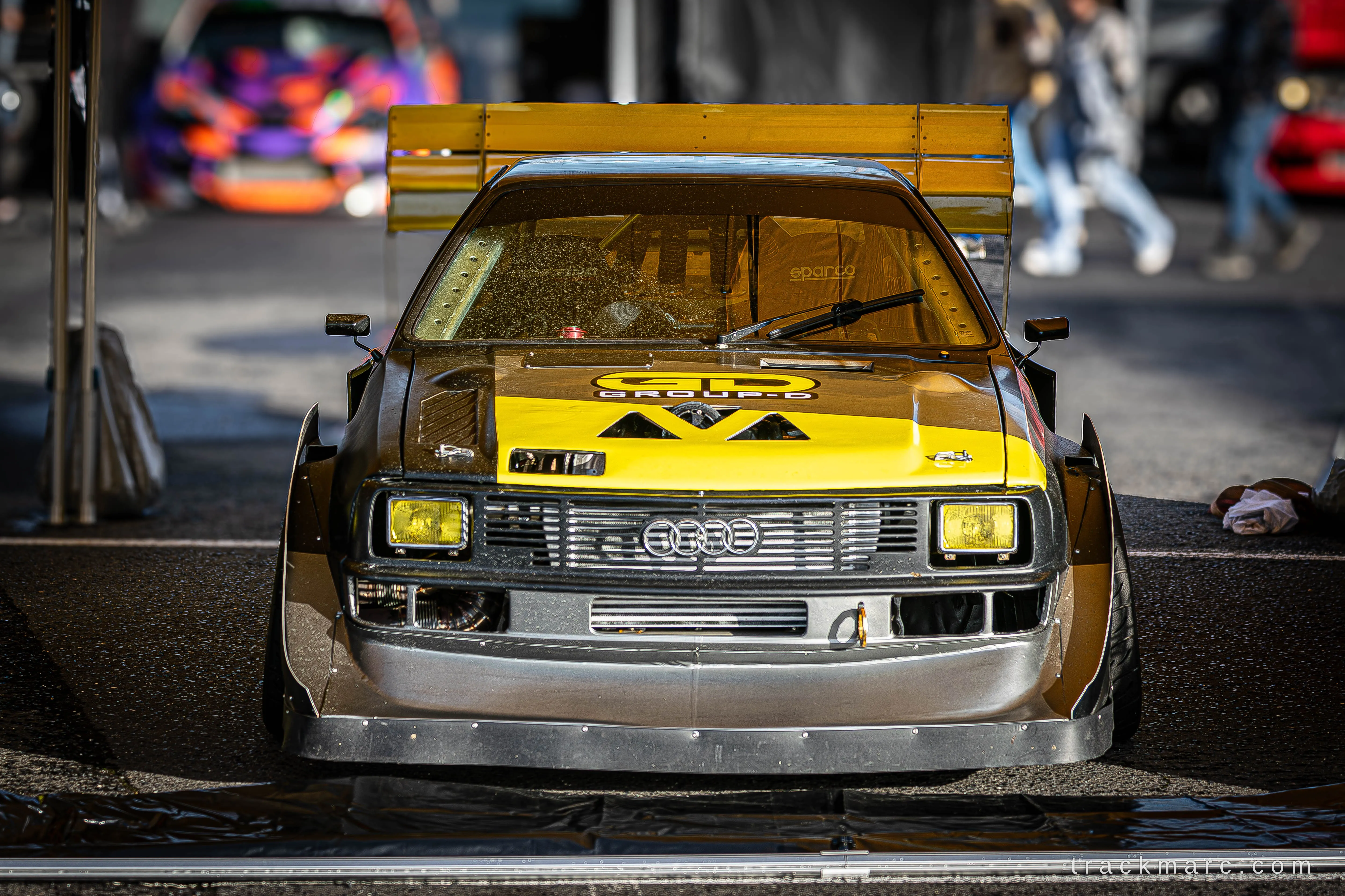 Group D Audi at 130 Showdown