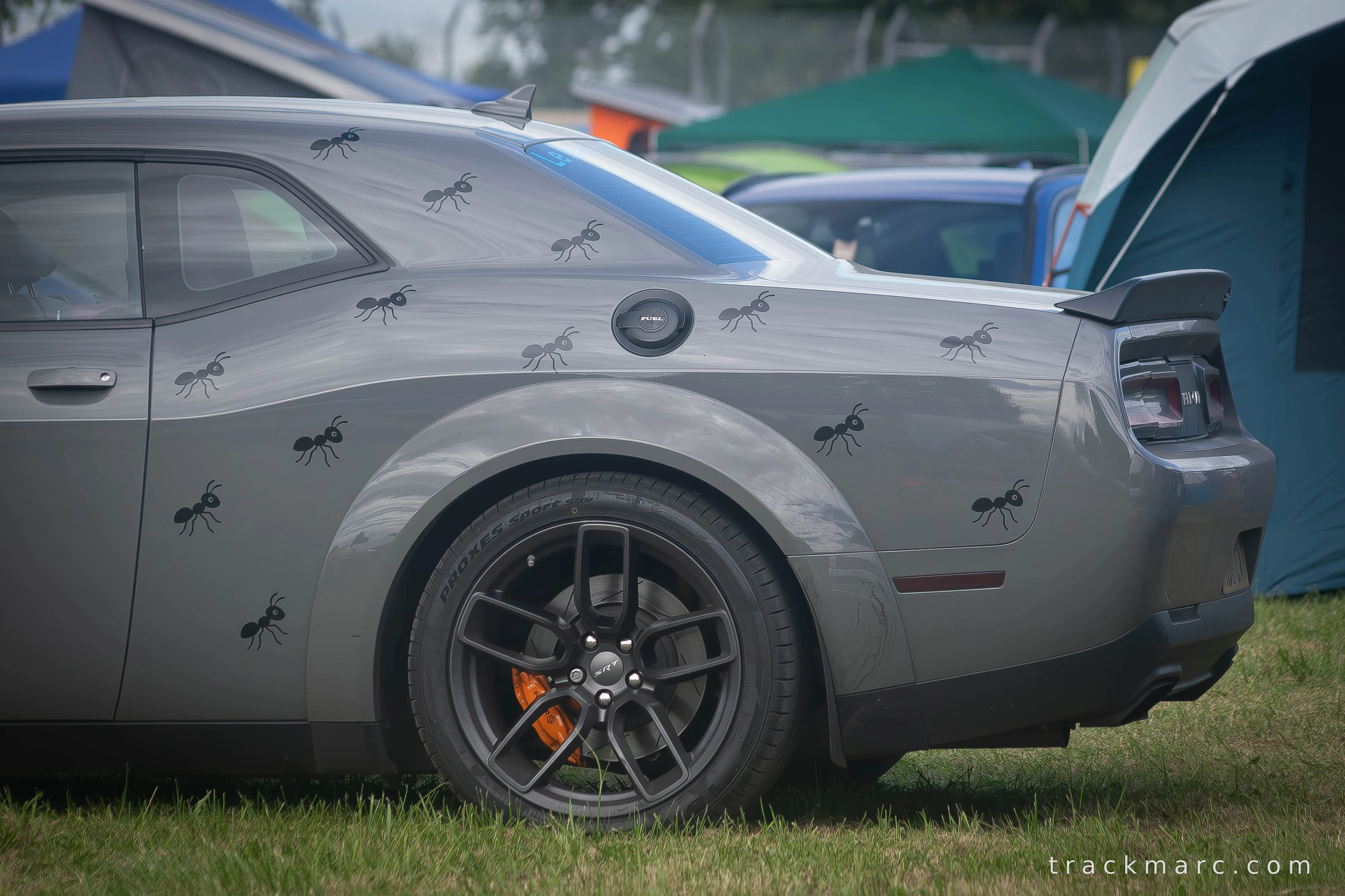 Dodge Challenger Widebody with Ant Decal Livery