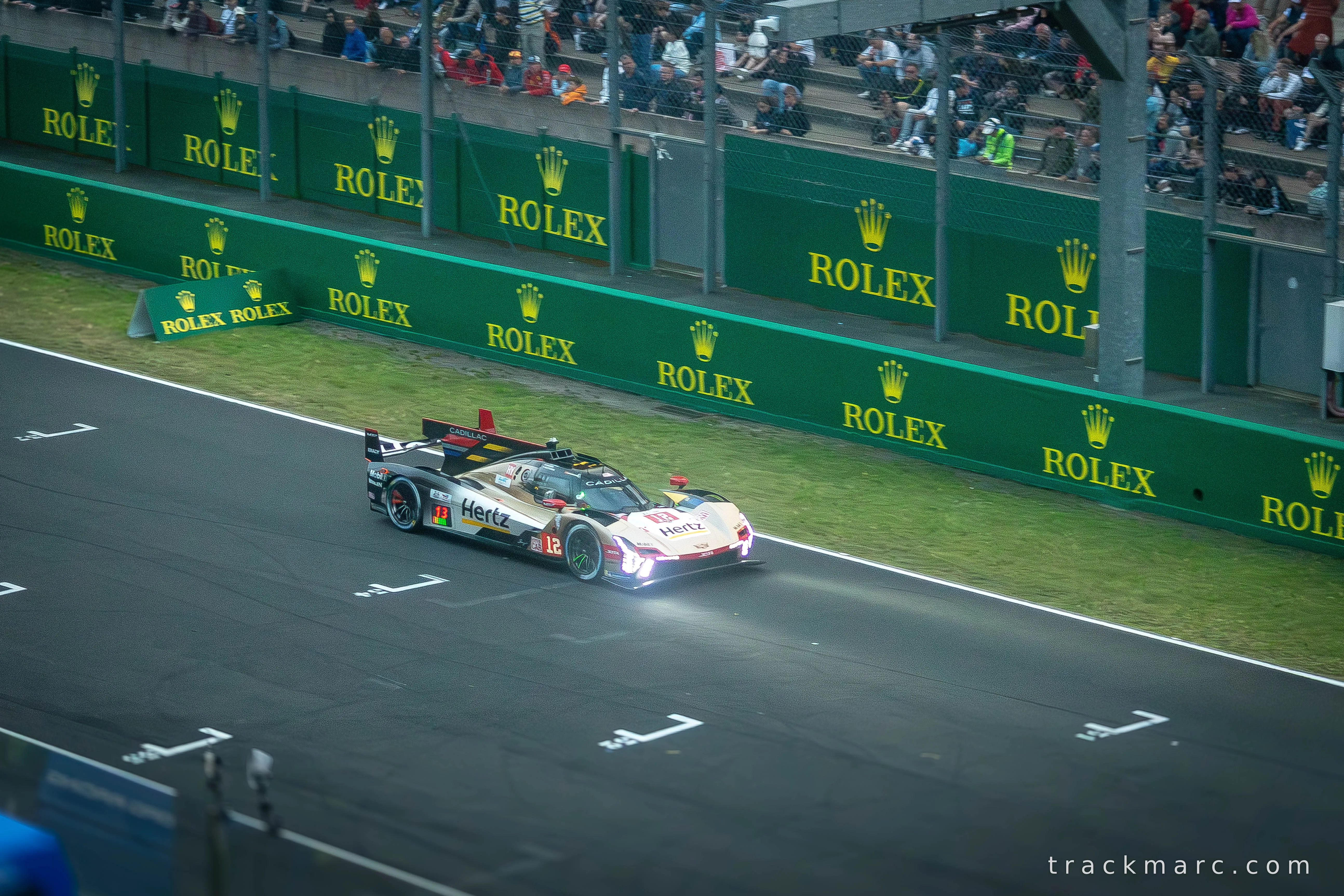 Cadillac V-Series.R, Hertz Livery, Car 12