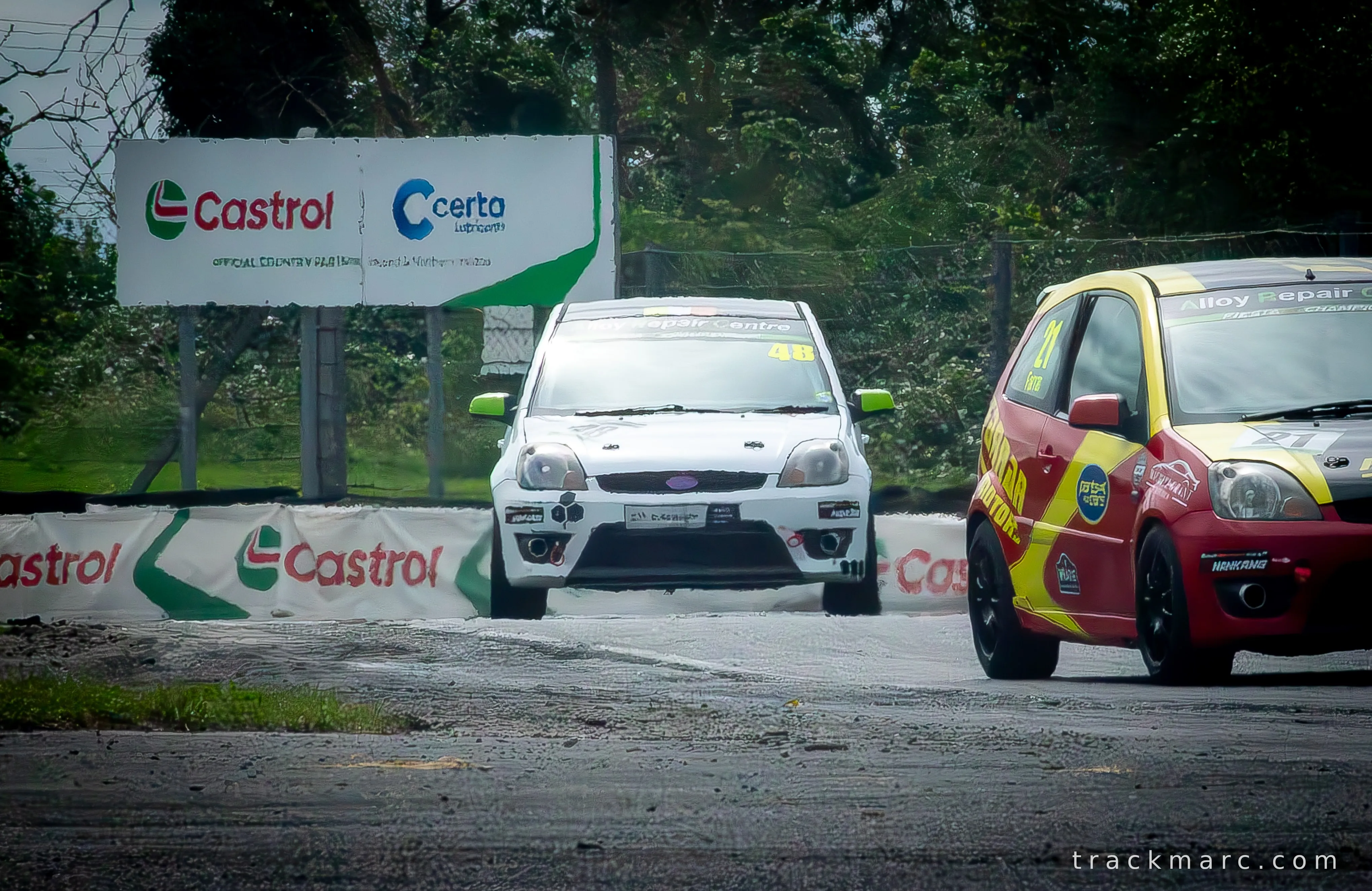Fiesta ST #48 & Fantom Motors' #21 — Mondello Park