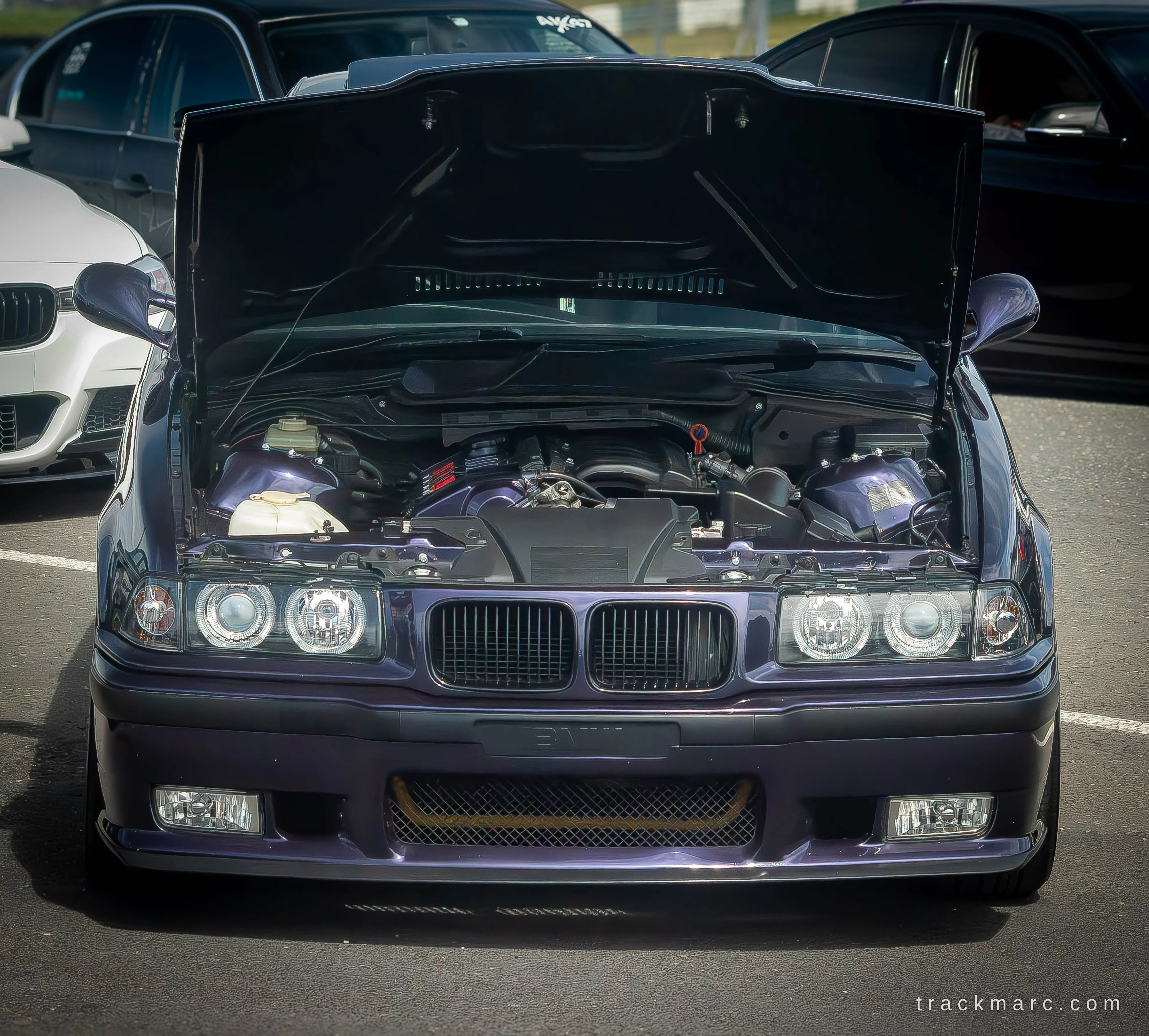 Techno Violet E36 at Bimmerfest