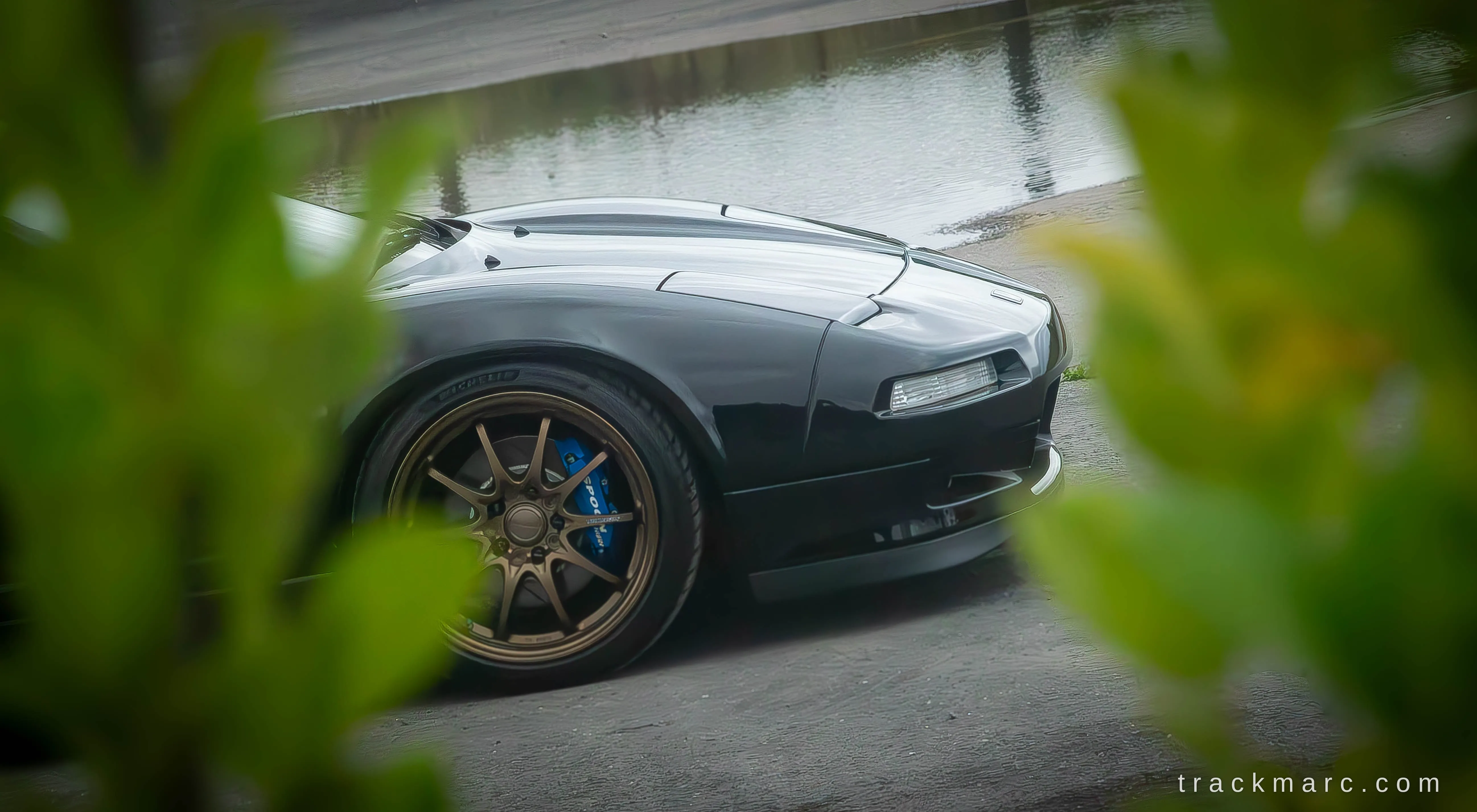 Honda NSX Through the Foliage — Retrostock