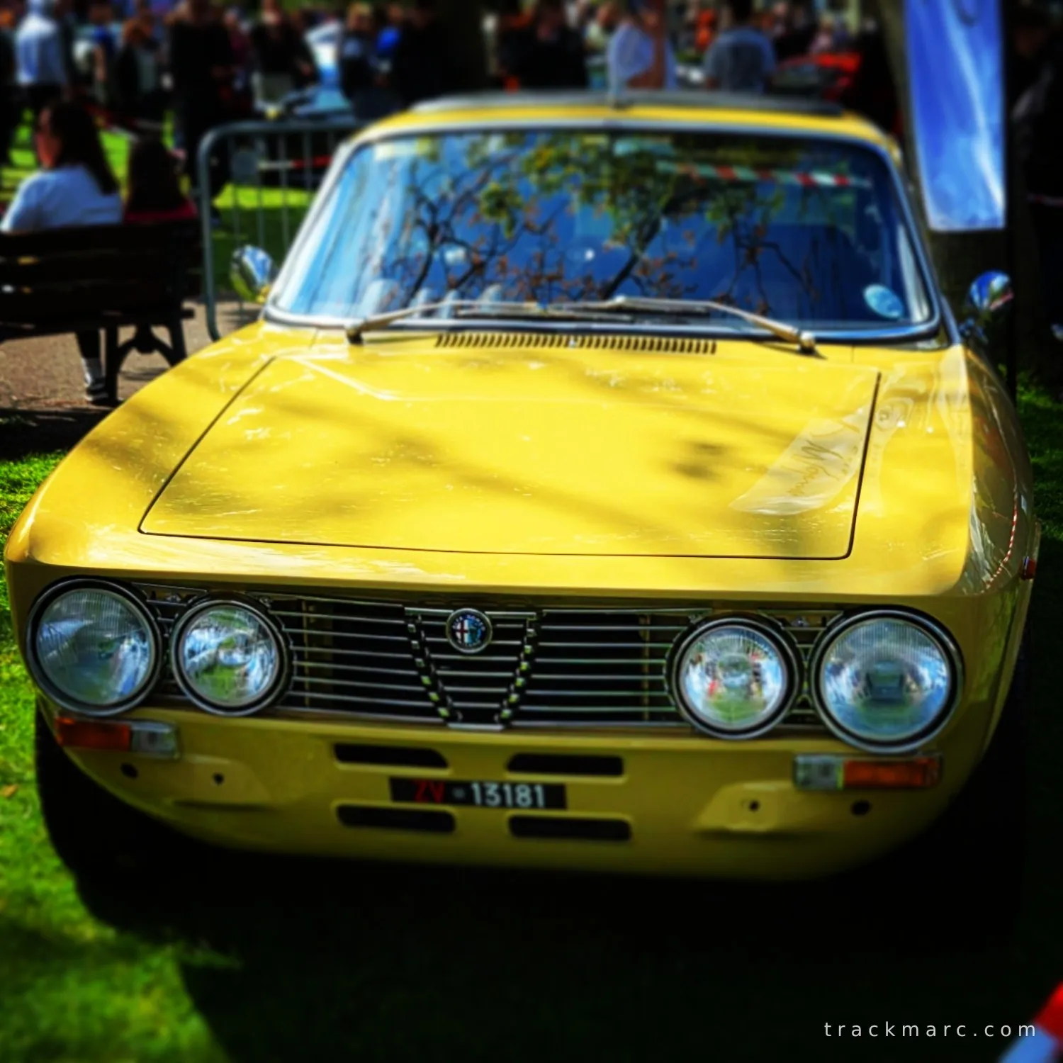 Alfa Romeo Giulia GT