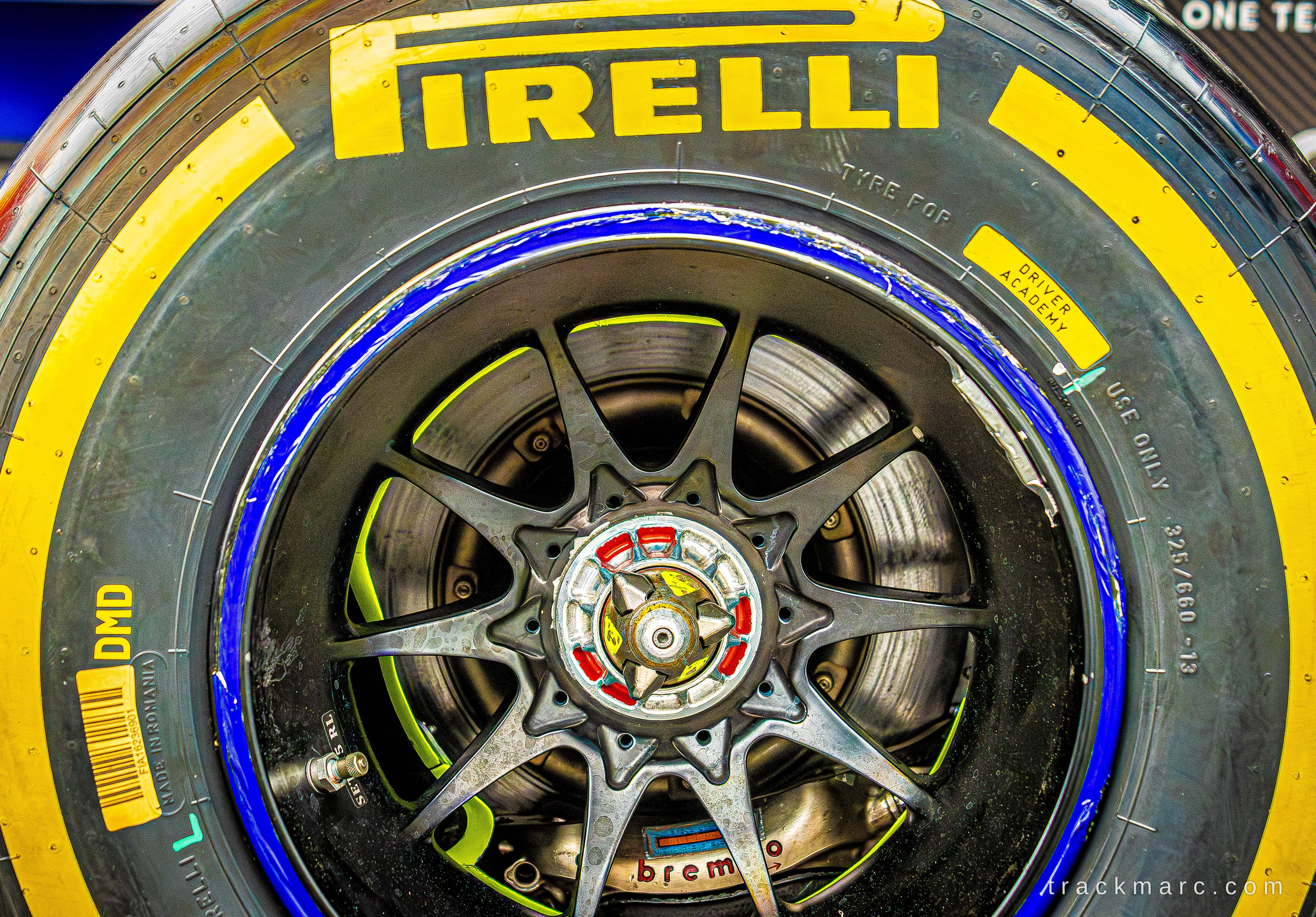 Pirelli tyre and centre-lock wheel — Red Bull Homerun